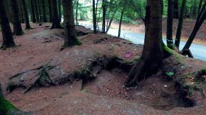 Jack Woods foxholes Easy Company 101st Airborne Bastogne