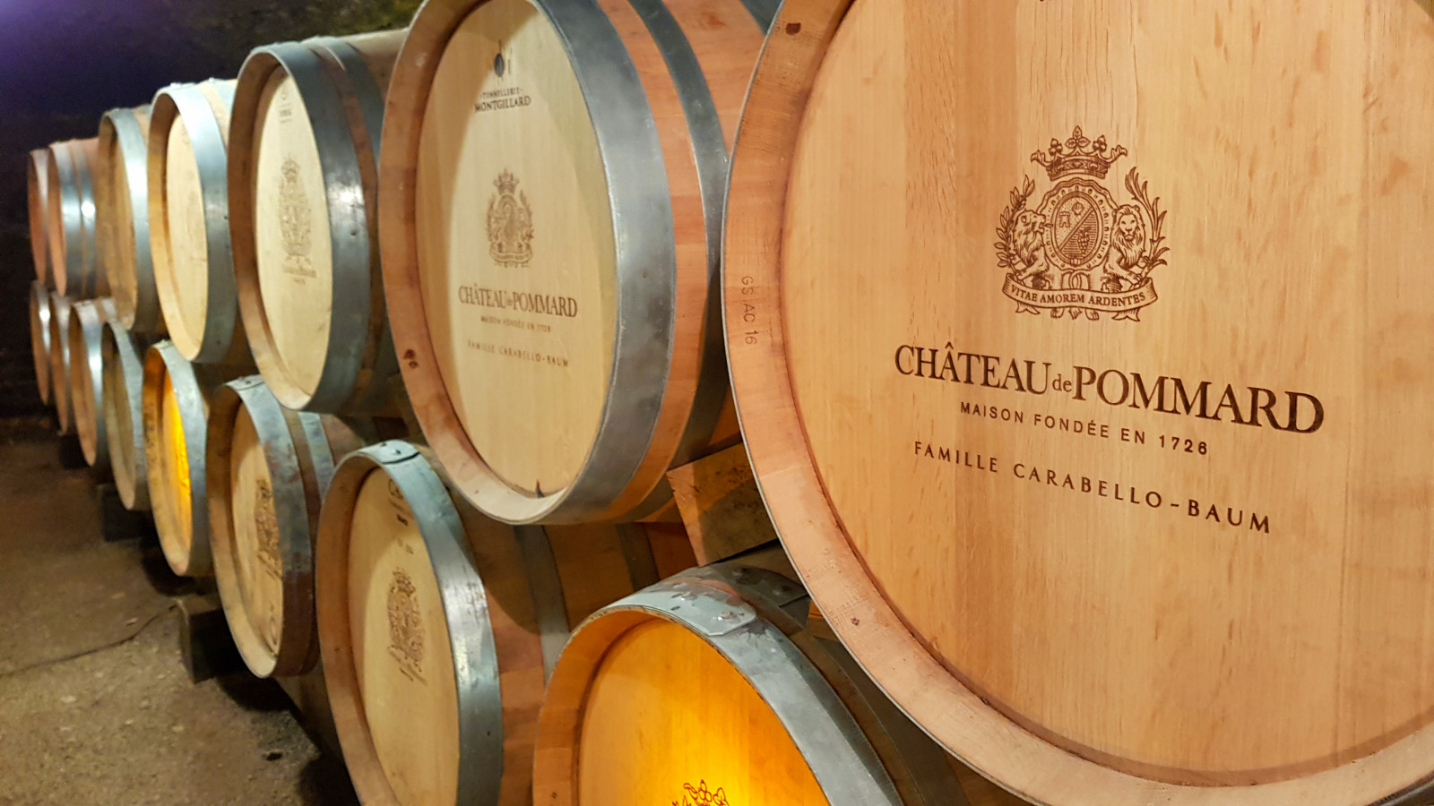 Burgundy wine region private day tour from Paris – Côte de Nuits, Pinot Noir, Chardonnay tasting