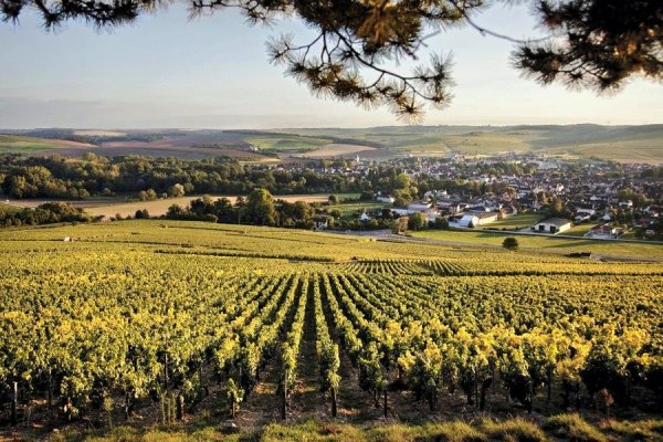 Surrounded by vineyards Chablis offers spectacular panorama