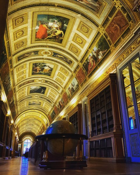 The library of Château Fontainebleau