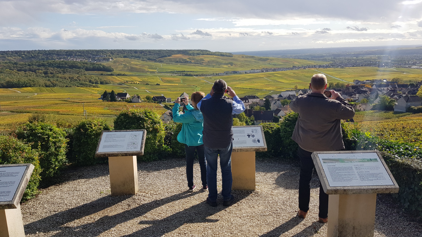 Great panorama above the Champagne vineyards