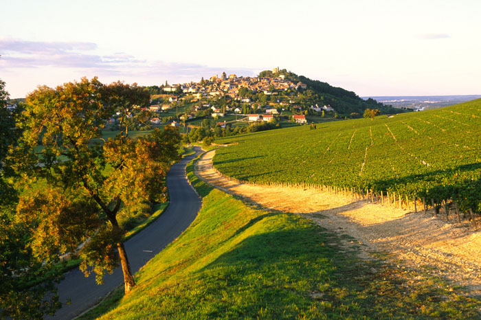 wine tours in sancerre